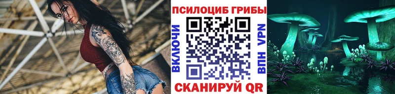 Псилоцибиновые грибы GOLDEN TEACHER  Курск 