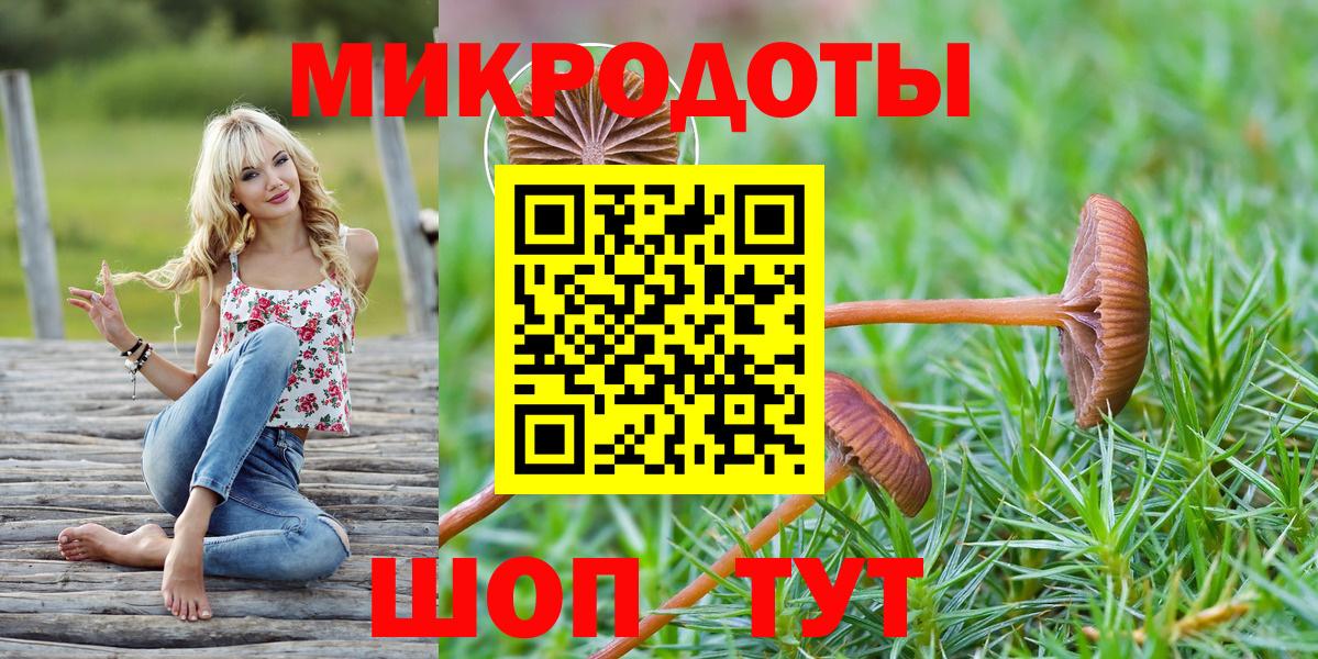 Псилоцибиновые грибы мицелий Курск