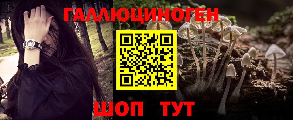 Курск  Псилоцибиновые грибы прущие грибы  Вход с VPN 