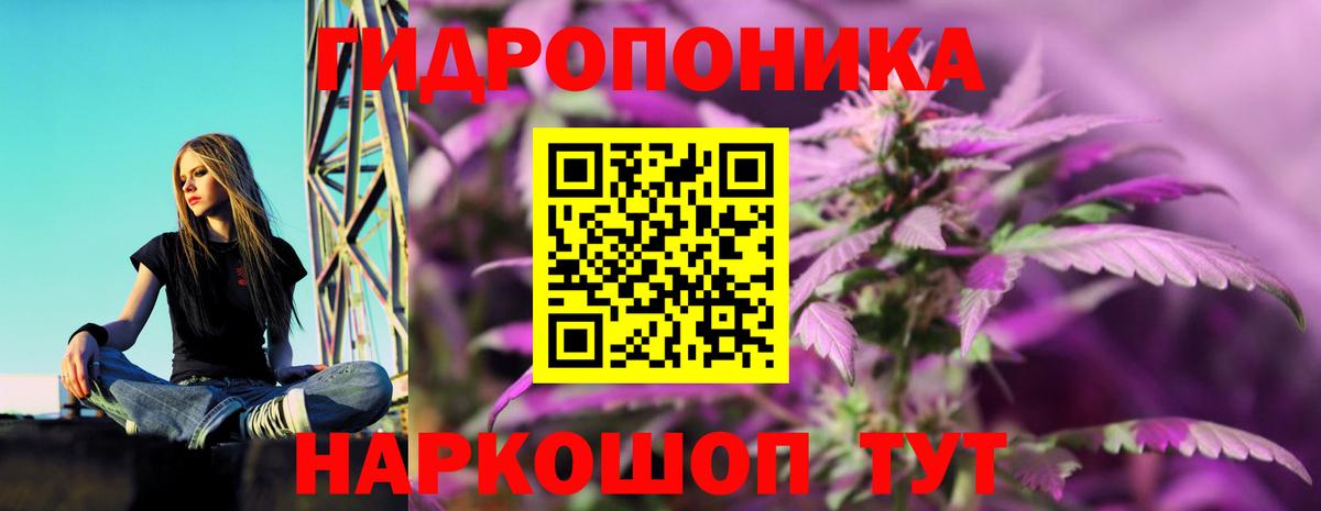 Конопля SATIVA & INDICA Курск